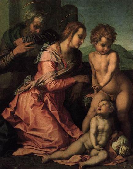 Andrea del Sarto Holy Family Norge oil painting art